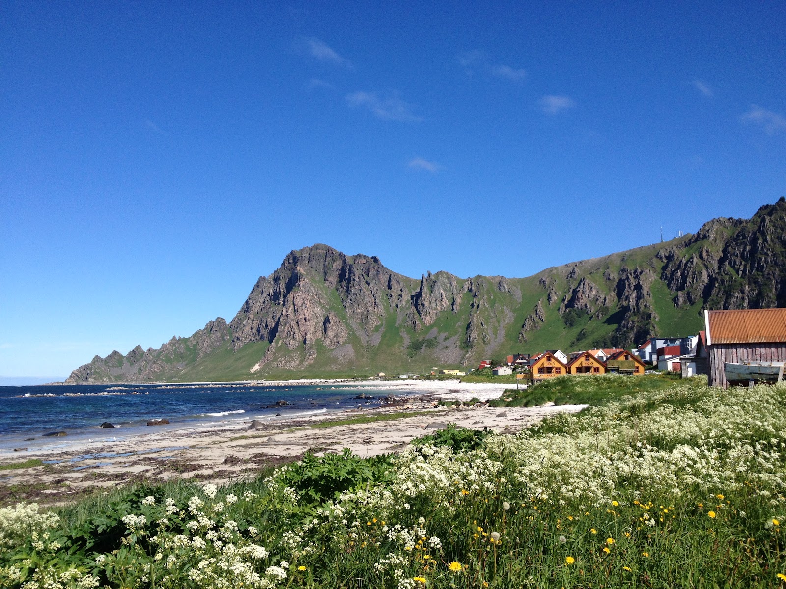 Andøya – en vakker perle i nord