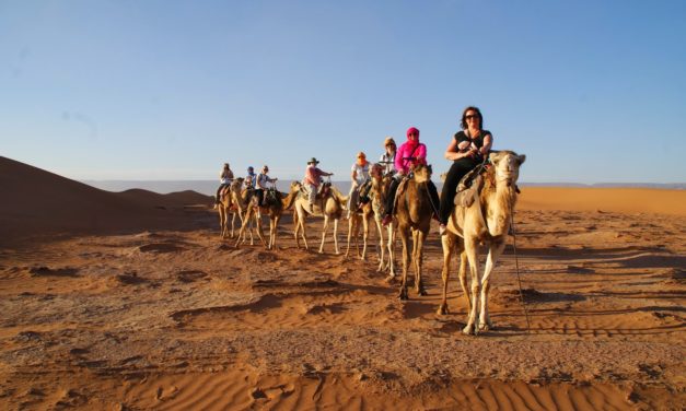 Vel gjennomført bloggtur til Marokko