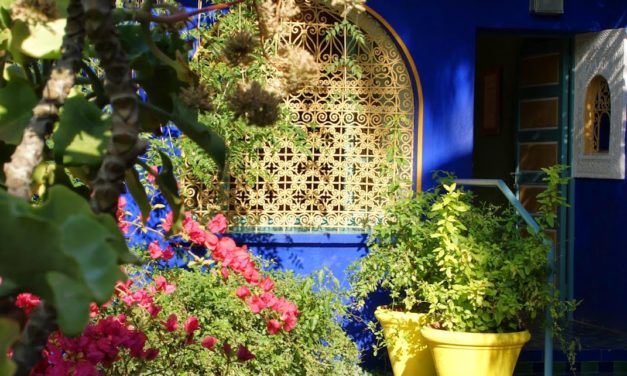 Reisetips Marokko: Majorelle Garden i Marrakech – en fargeopplevelse