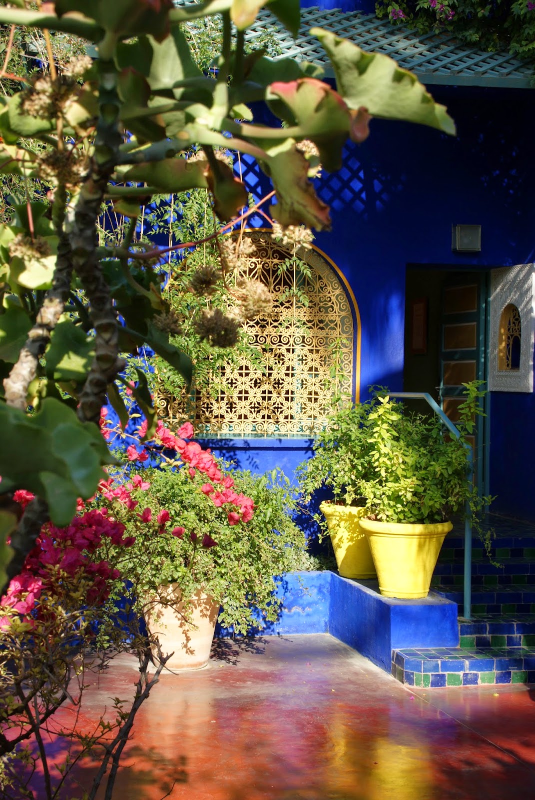 Reisetips Marokko: Majorelle Garden i Marrakech – en fargeopplevelse