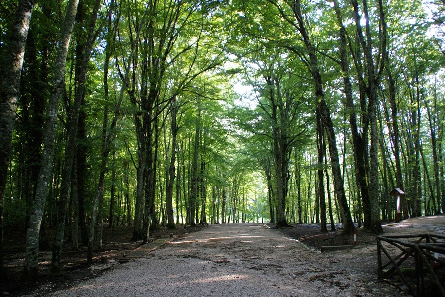 Sval søndagstur i Umbra Forest – Gargano