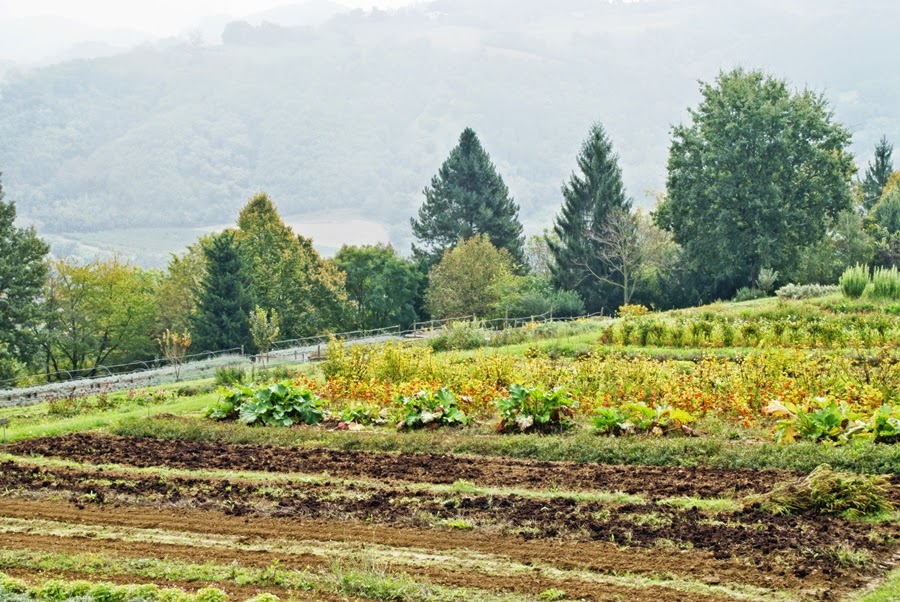 Velkommen til urtenes verden – Giardino delle Erbe hagen i Italia