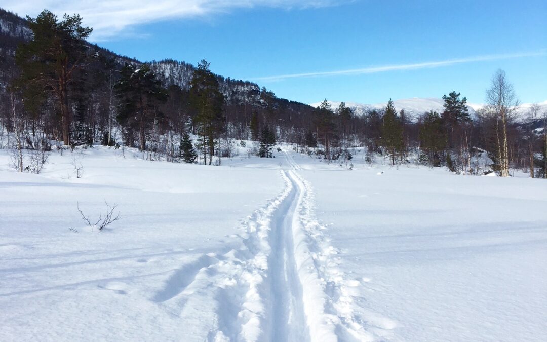 Kan du de nye fjellvettreglene?