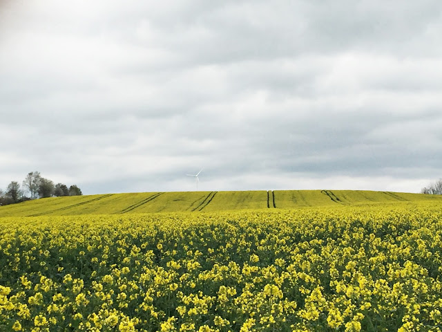 Oppdag Thüringen fra sykkelsetet