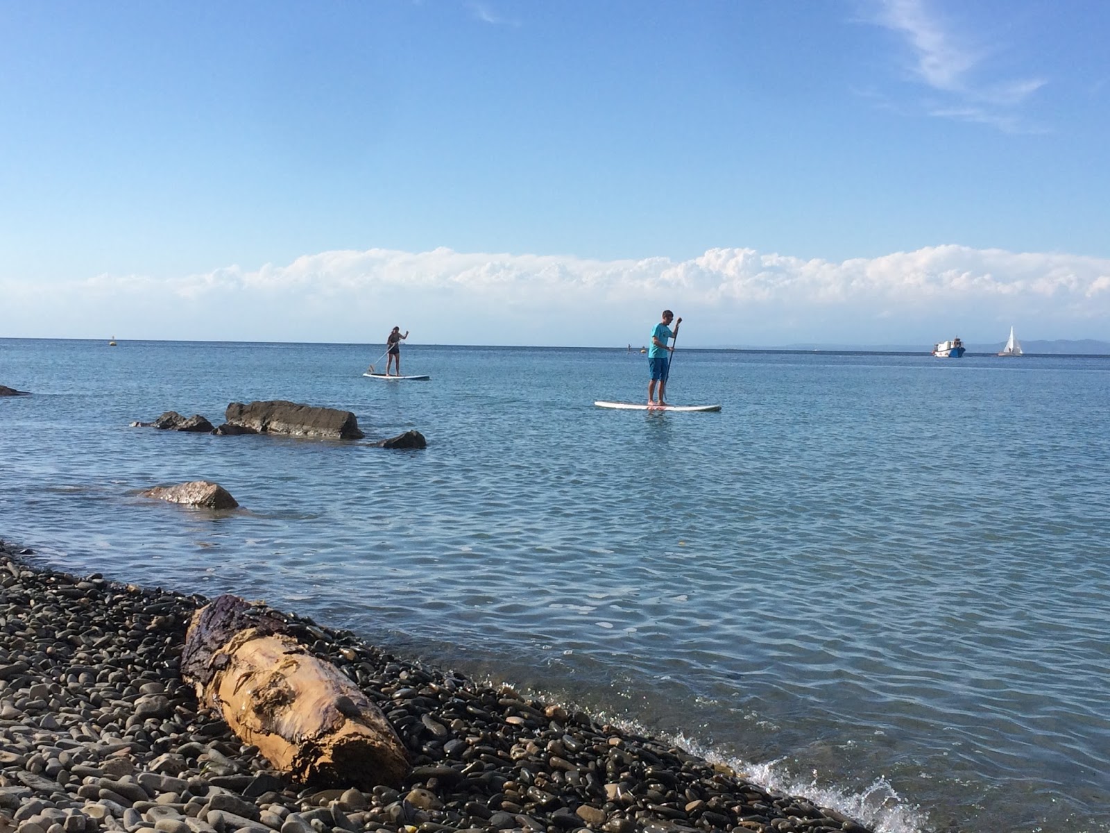 SUP langs Slovenias kystlinje