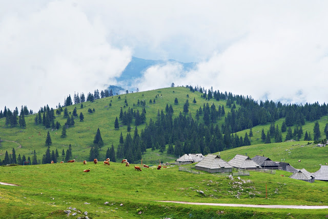 Velika Planina – et eventyrlandskap i Slovenia