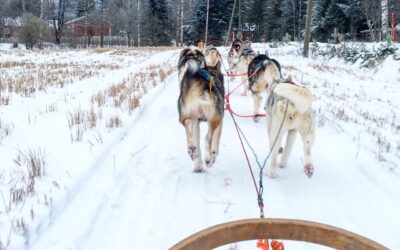 6 perfekte utendørs vinteraktiviteter i Lahti