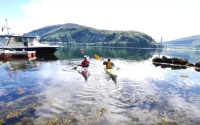 I ett med naturen – Kajakkpadling på Dalsfjorden