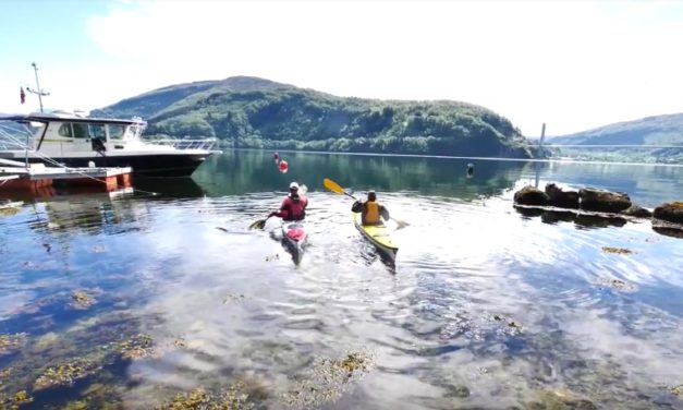 At One with Nature – Kayaking at Dalsfjorden