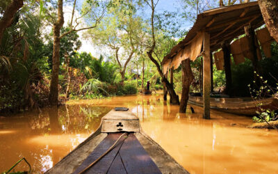 Båttur på Mekongelven i Vietnam