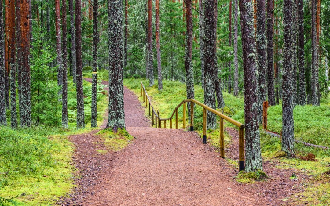 Stress ned i vakker Estisk natur