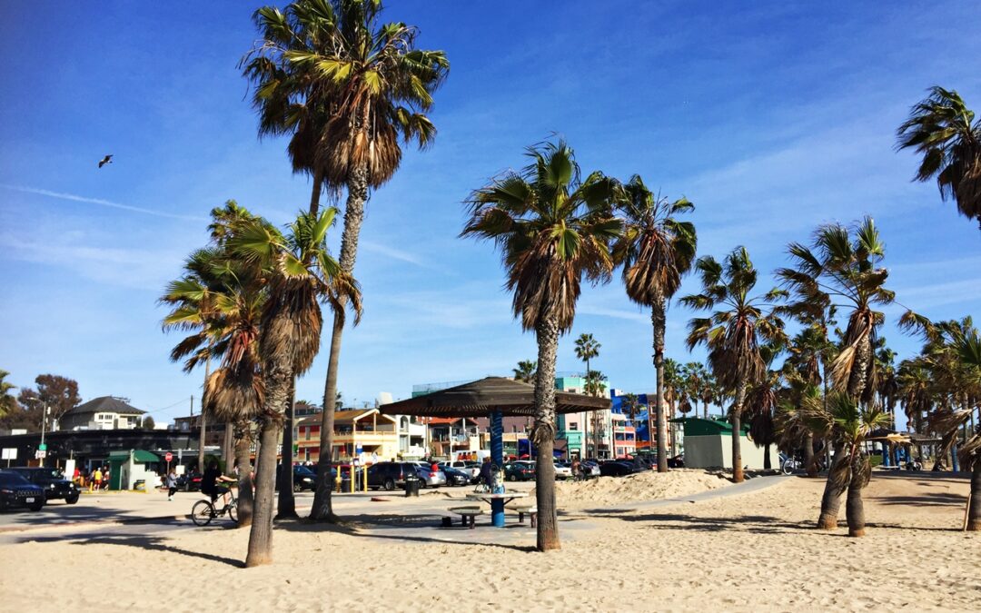 Reiseguide: 13 ting må du oppleve på Venice Beach, LA