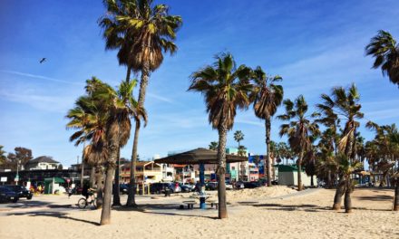 Reiseguide: 13 ting må du oppleve på Venice Beach, LA