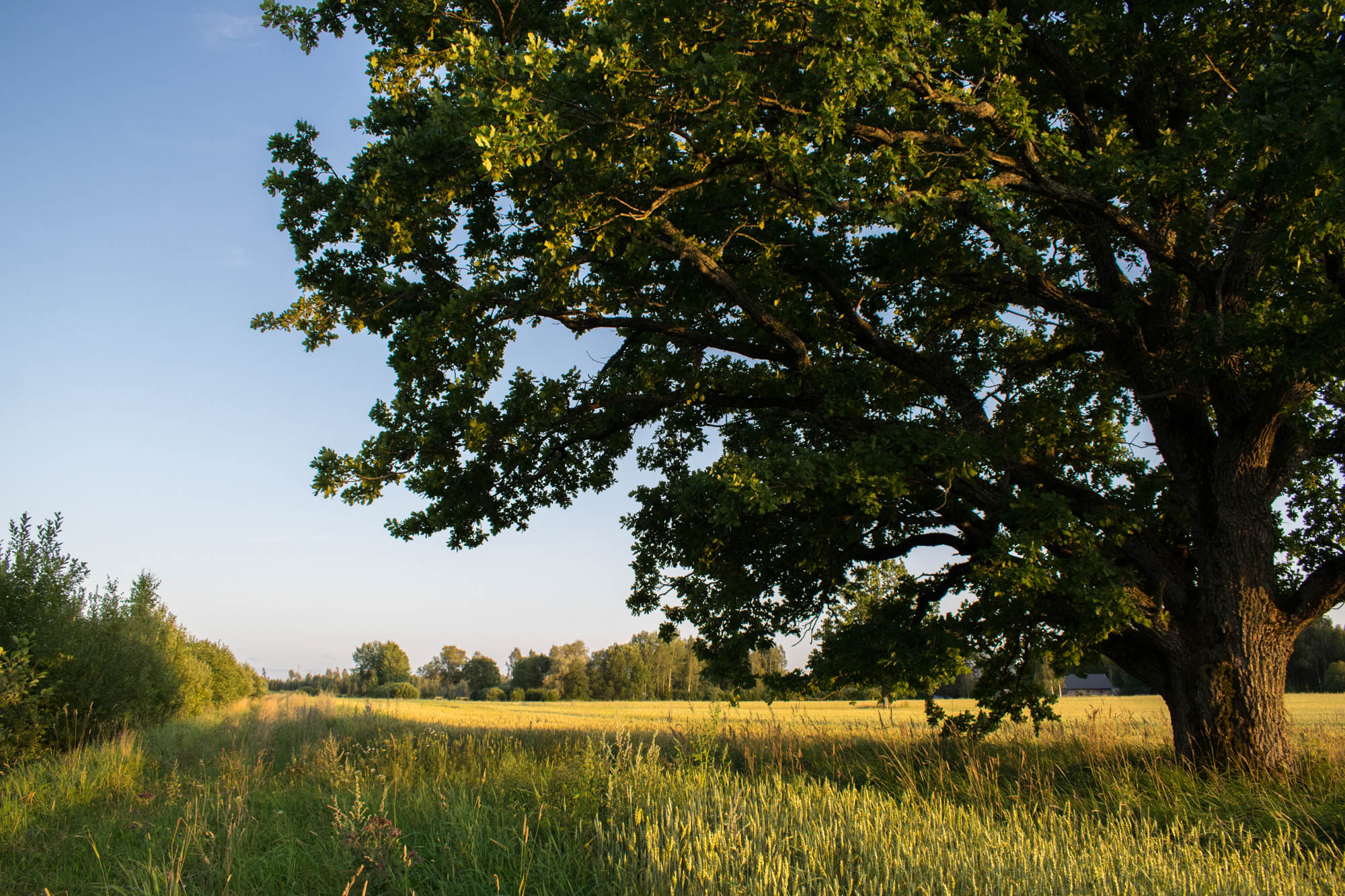 Gauja nasjonalpark i Latvia – en møteplass mellom natur, kultur og historie