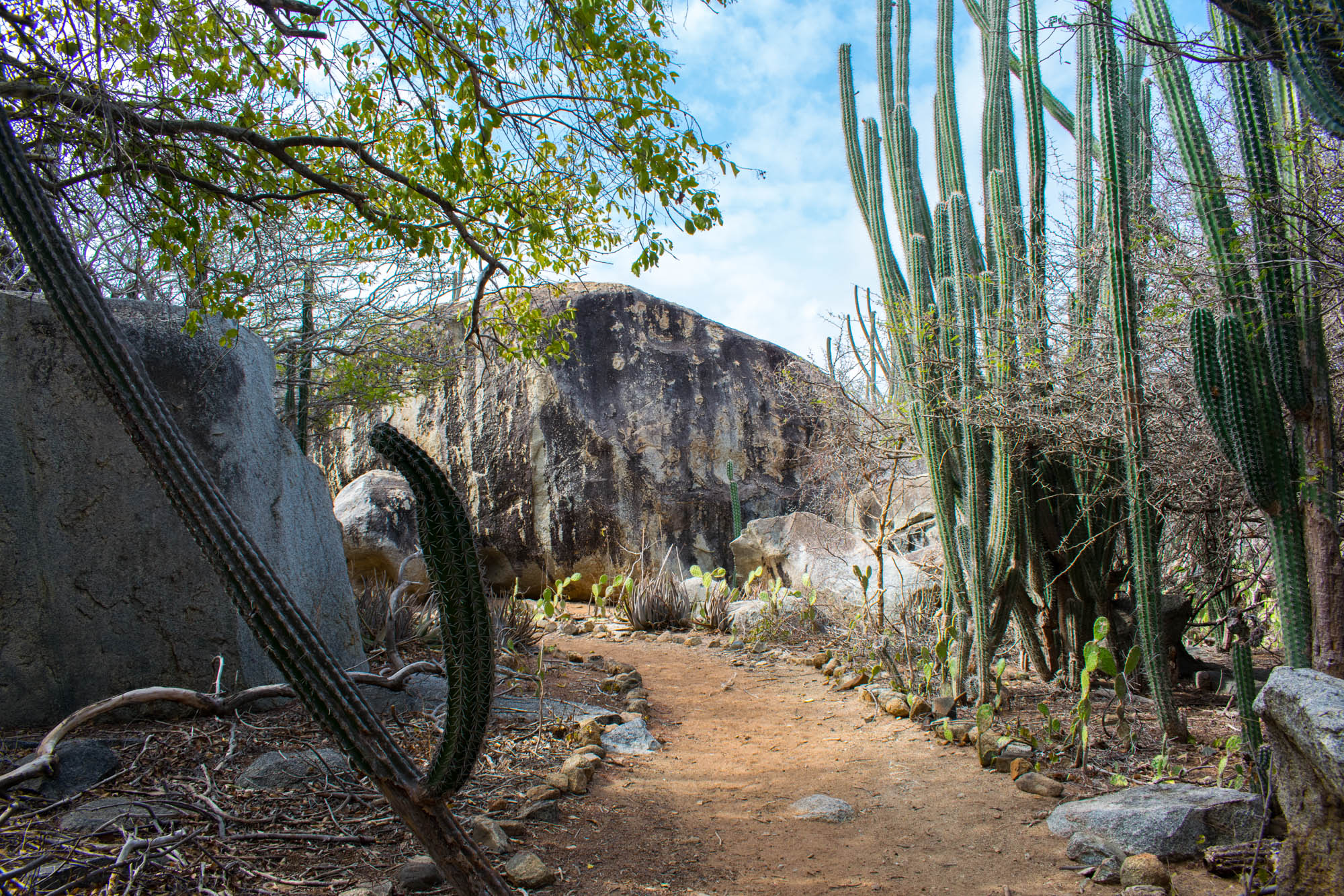 national park tours aruba