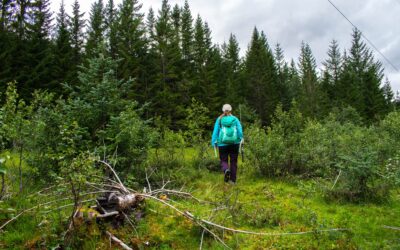 Telttur på fjellet eller ved kysten i sommer