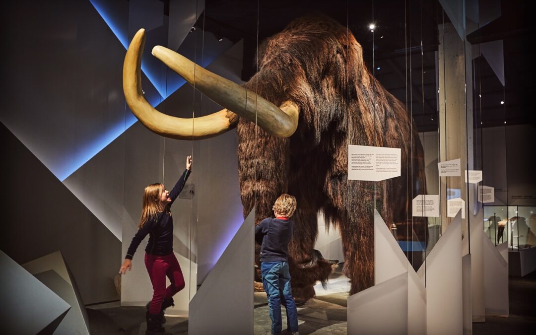Norsk Fjellsenter – et av landets råeste museum!