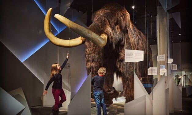 Norsk Fjellsenter – et av landets råeste museum!