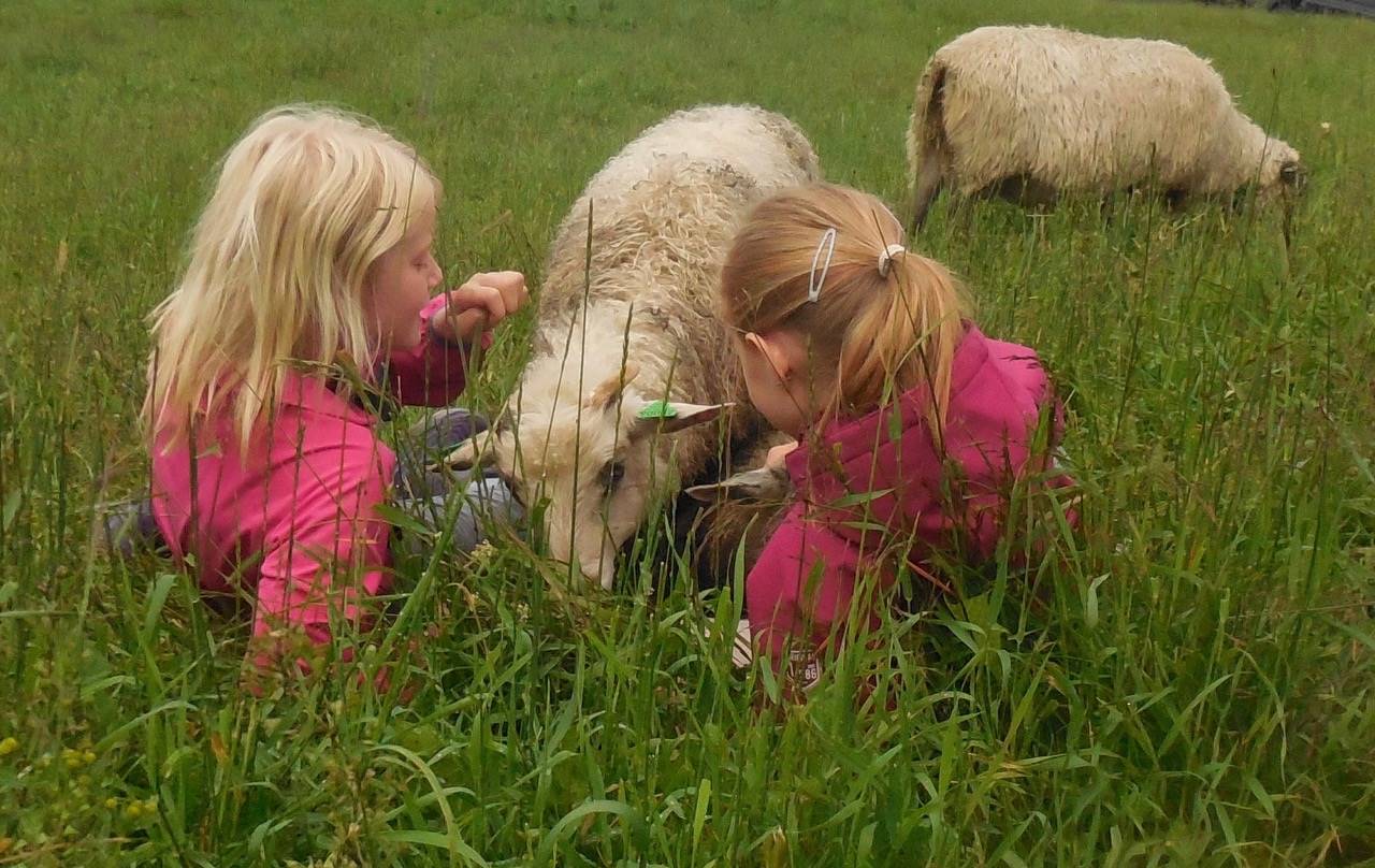 Asker og Bærum lanserer Smakskart