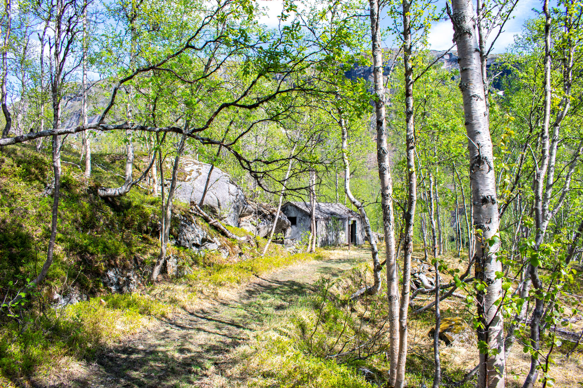 Rallarveien ved Narvik