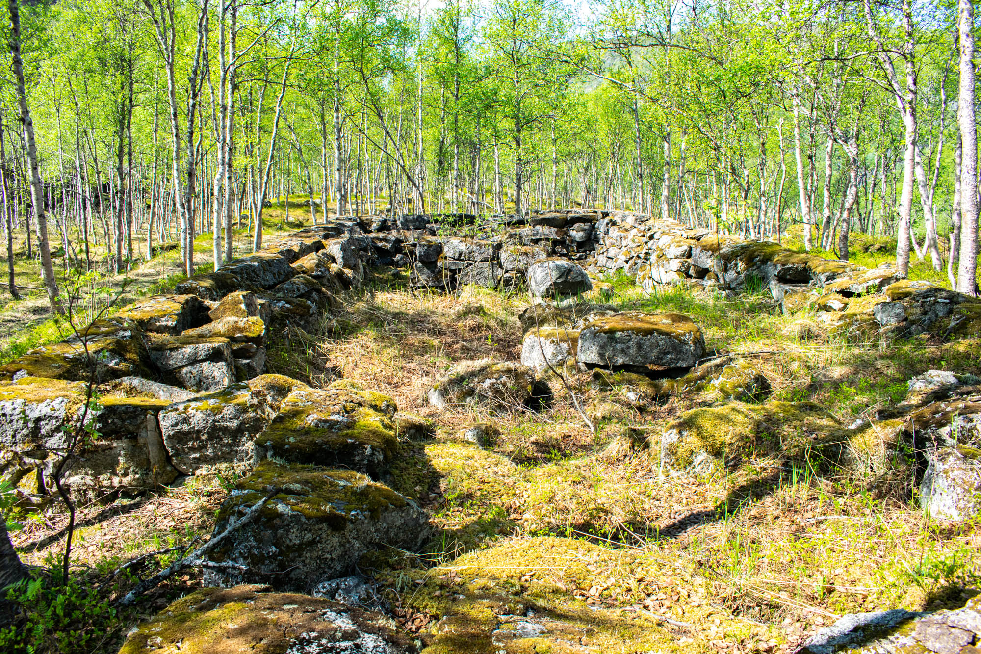 Ruiner langs Rallarveien til Rombaksbotn