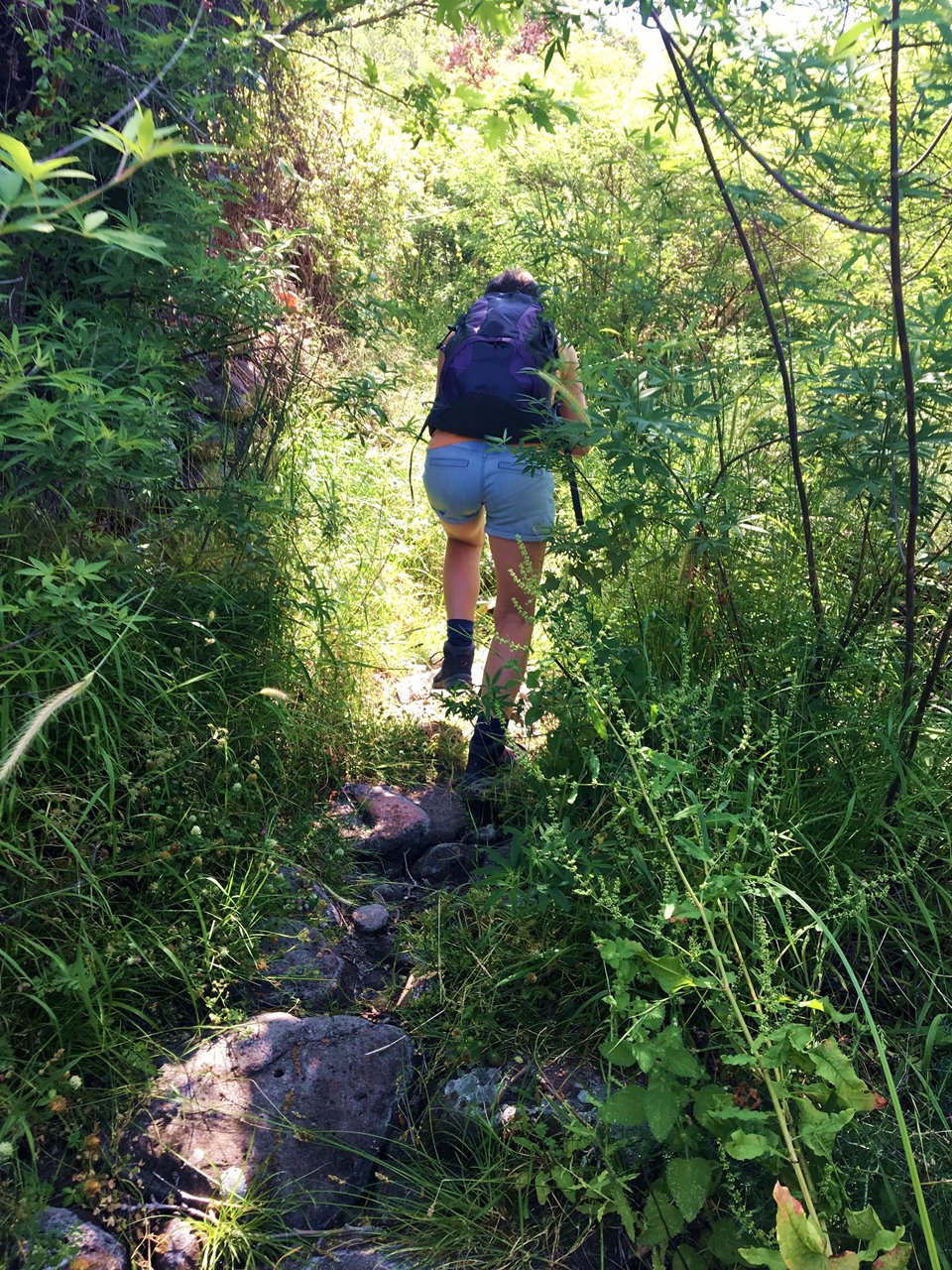 Vandretur på Water Mill Trail i Ligonasdalen Lesvos