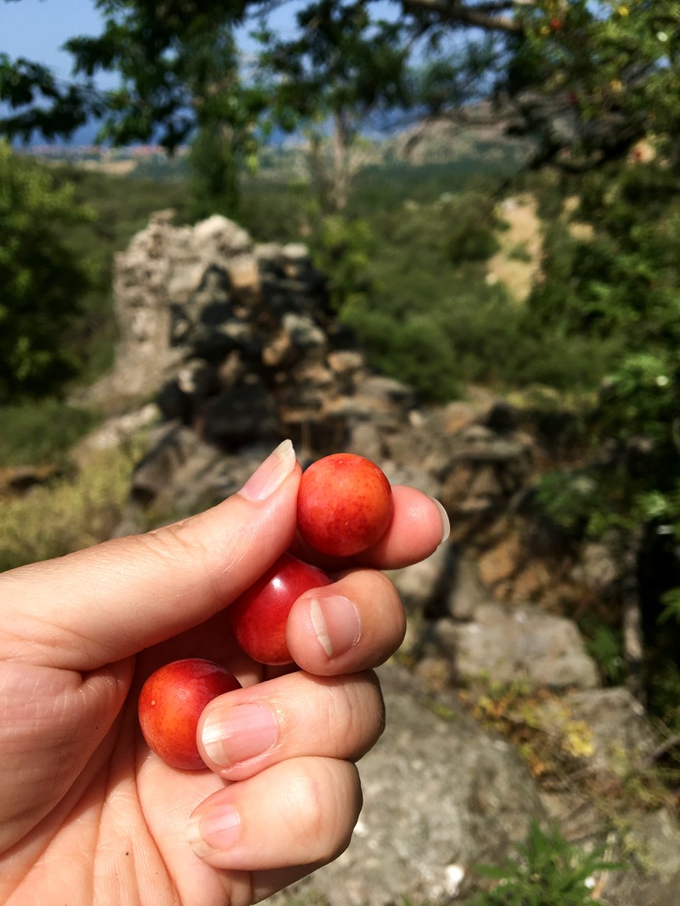 Vandretur på Water Mill Trail i Ligonasdalen Lesvos