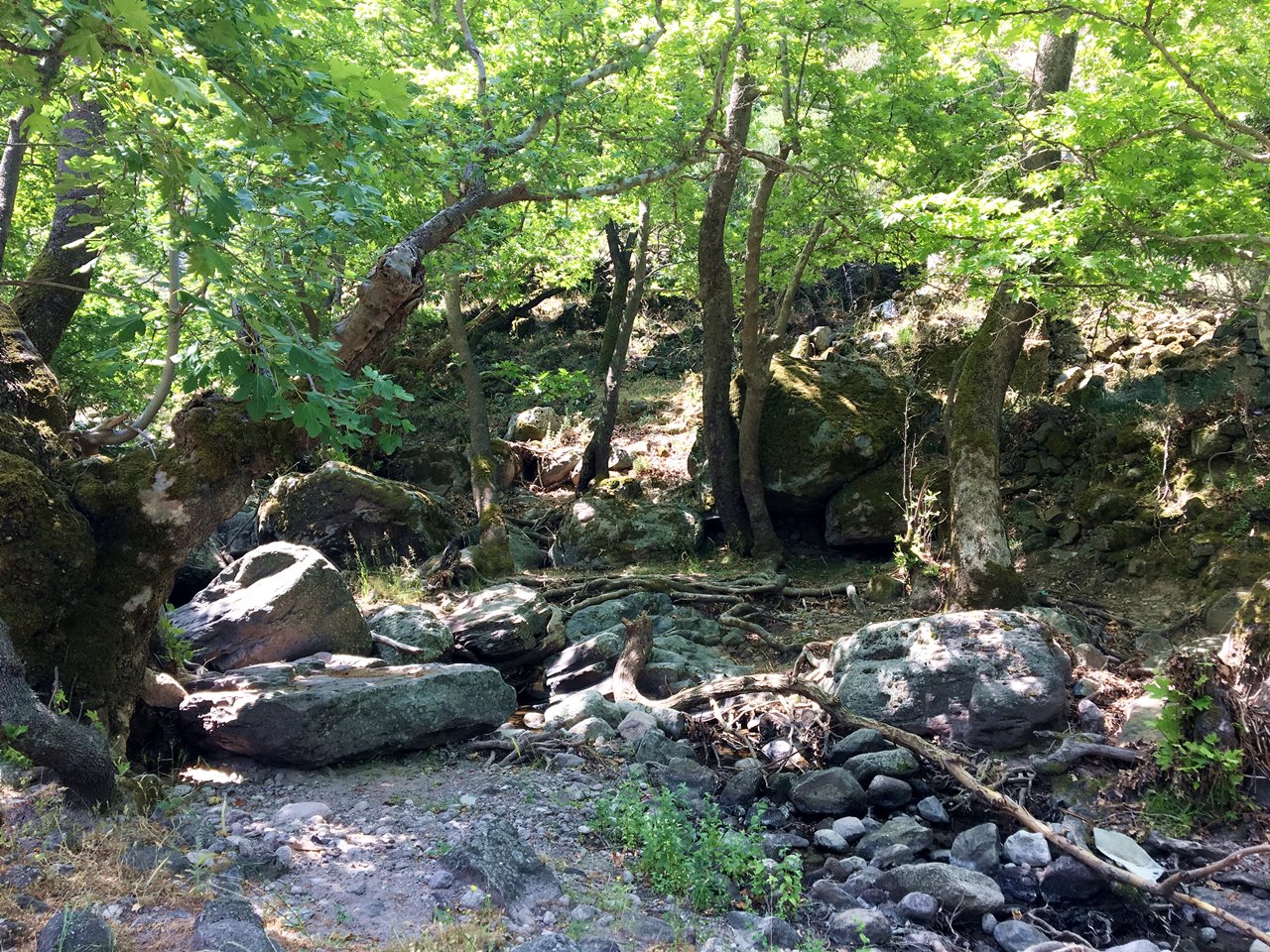 Vandretur på Water Mill Trail i Ligonasdalen Lesvos