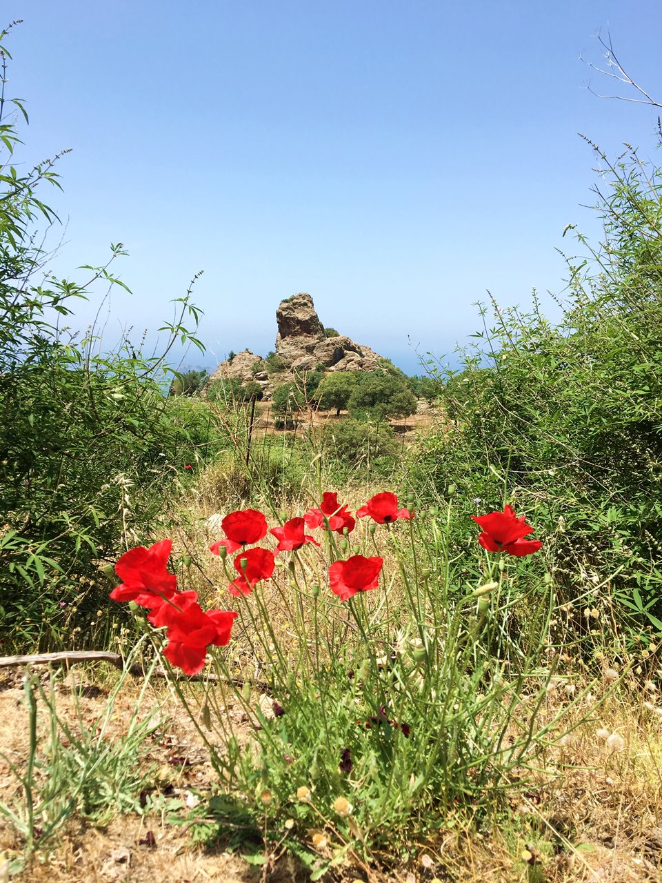 Vandretur på Water Mill Trail i Ligonasdalen Lesvos