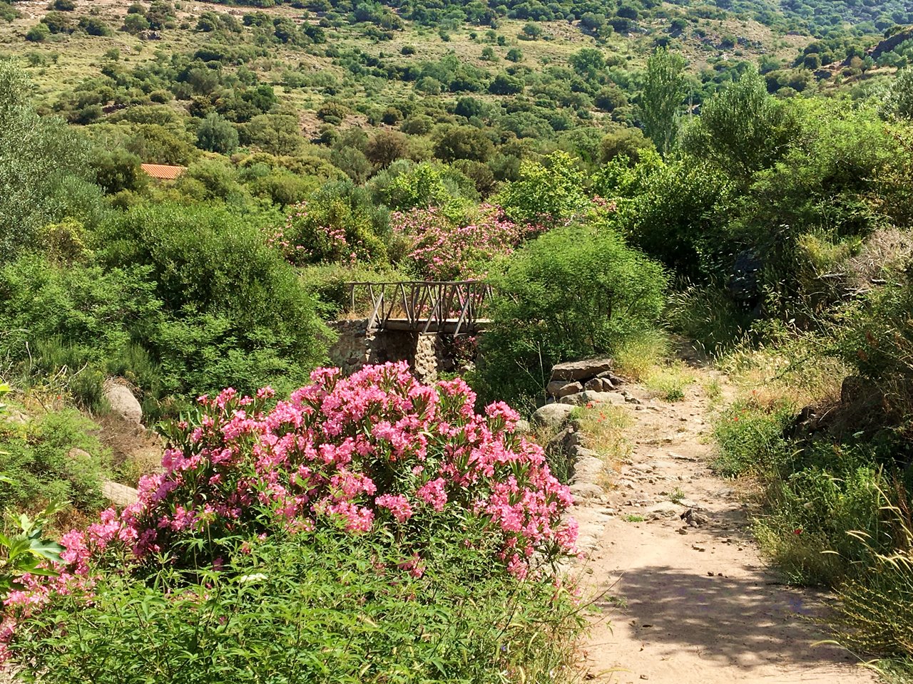 Vandretur på Water Mill Trail i Ligonasdalen Lesvos