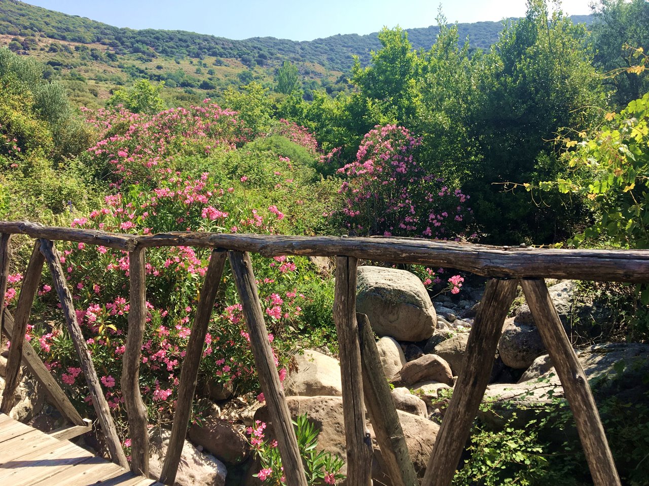 Vandretur i Ligonasdalens Water Mill Trail på Lesvos