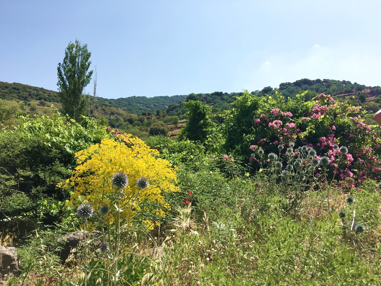 Vandretur på Water Mill Trail i Ligonasdalen Lesvos