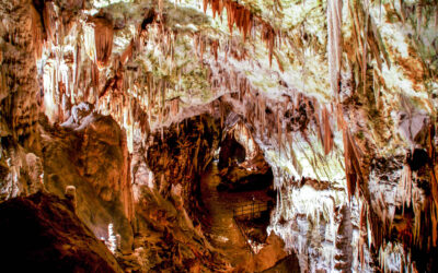 Oppdag stalagmitter, stalaktitter og «babydrager» i Postojnagrotten i Slovenia