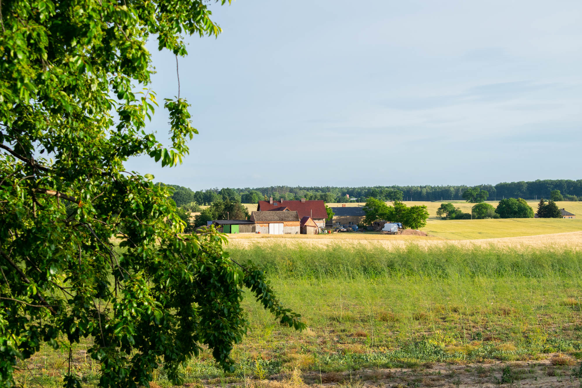 Landskap i Wielkopolska regionen i Polen