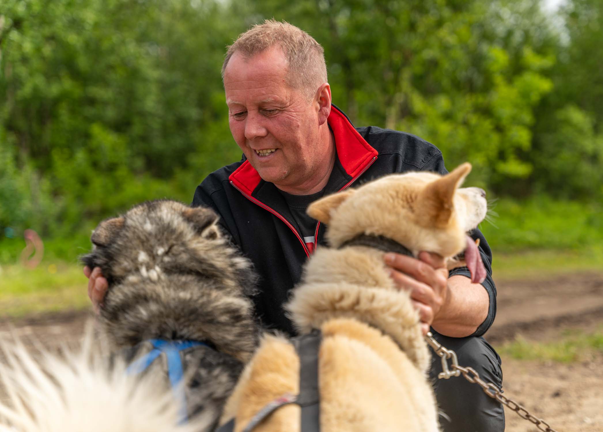 Hundekjøring på hjul med Pirate Husky