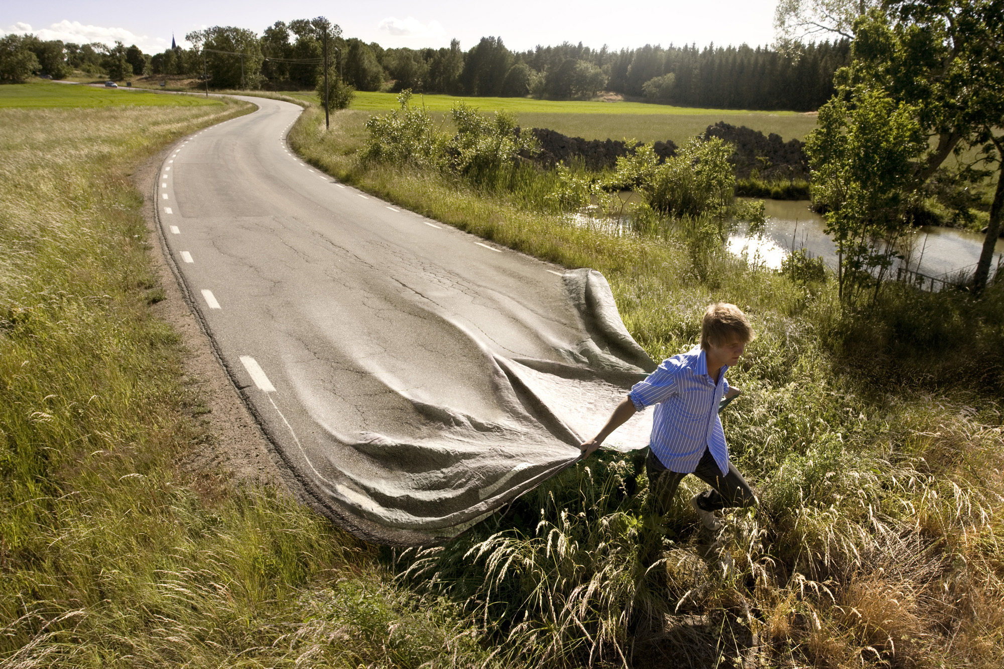 Villsvin i det fri